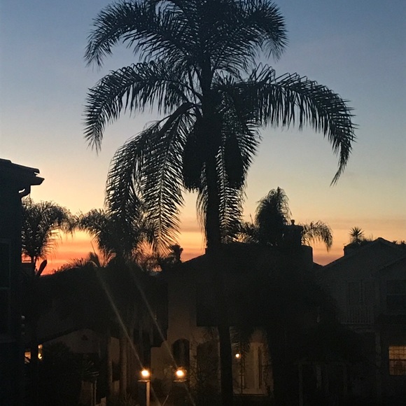 Meet your Posher, Devynn - Picture 1 of 1